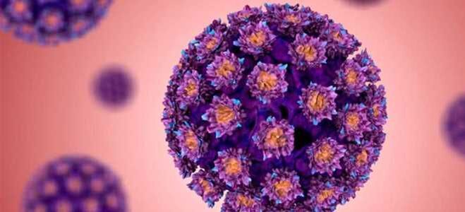 HPV - ľudský papilomavírus